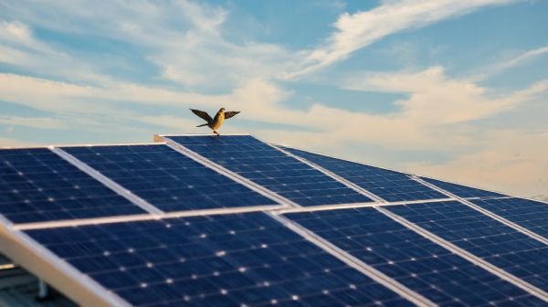 Meilleurs panneaux solaires pour maximiser votre autonomie