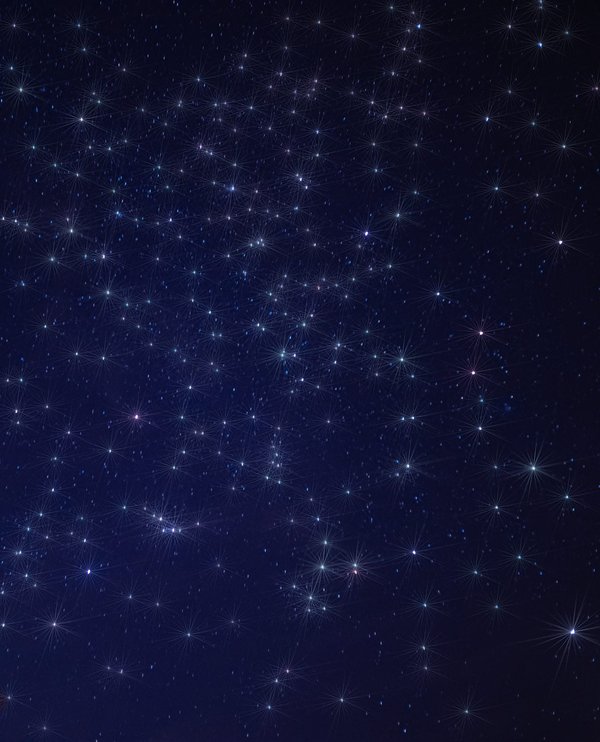 Quels sont les services proposés par le camping sur l'ile de Ré ?