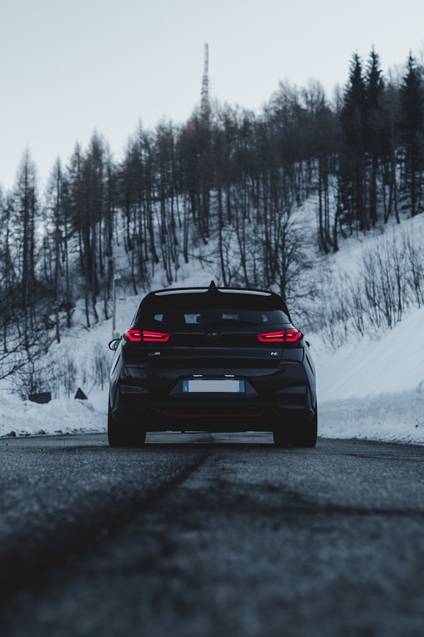 Quelle est l'importance des jardins botaniques dans la préservation des espèces végétales menacées ?
