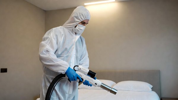 Comment trouver un expert en punaises de lit à Créteil ?